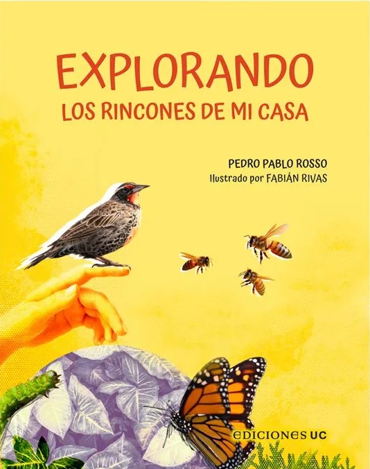 EXPLORANDO LOS RINCONES DE MI CASA