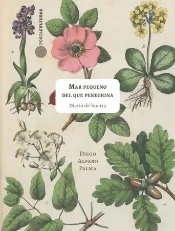 MAR PEQUEÑO DEL QUE PEREGRINA