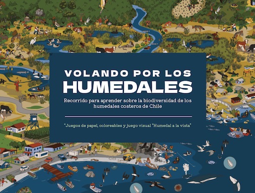 VOLANDO POR LOS HUMEDALES