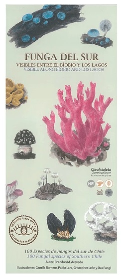 FUNGA DEL SUR (DESPLEGABLE)