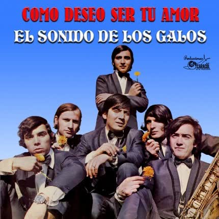 COMO DESEO SER TU AMOR. EL SONIDO DE LOS GALOS (LP)