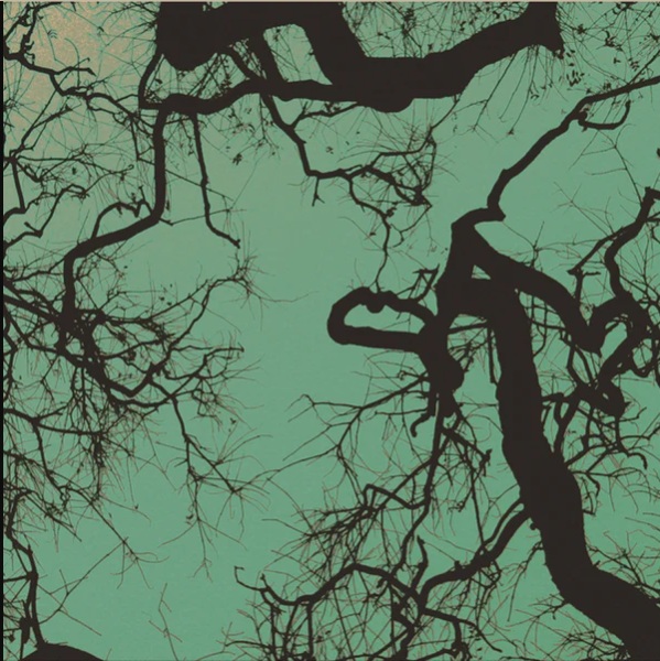 FOLLAKZOID (LP)