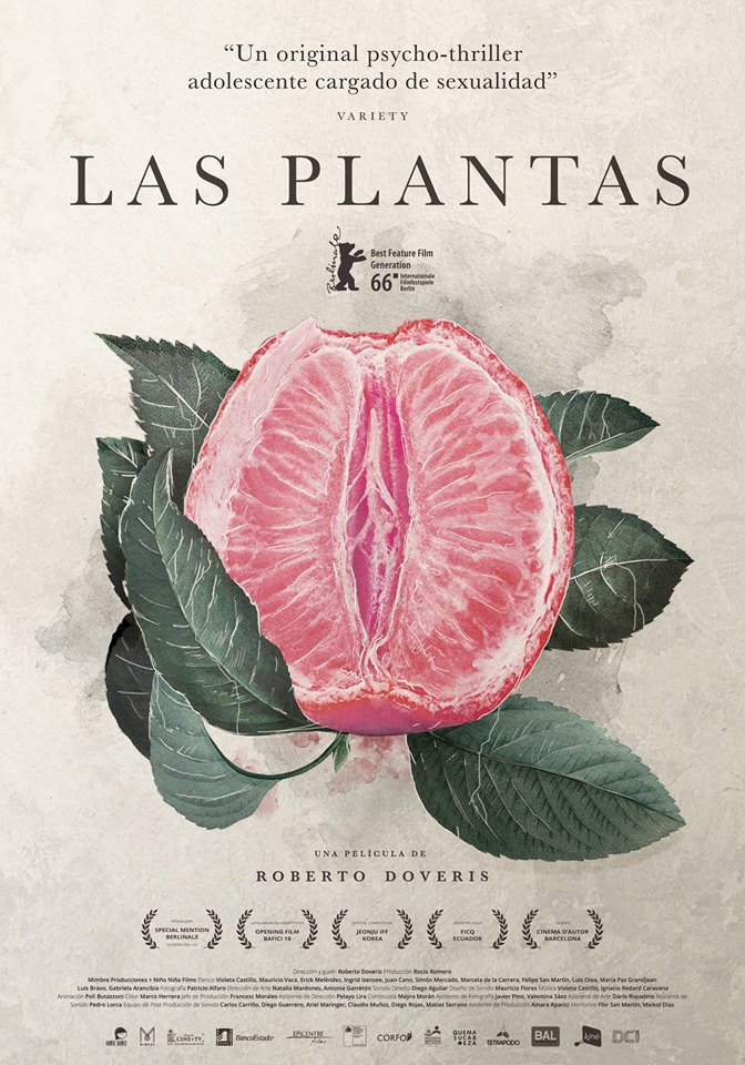 LAS PLANTAS