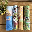 INDIVIDUALES PAISAJES DE CHILE