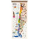 MAPA CHILE GRANDE TELA ARPILLERA (120 x 48)