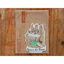 IMAN TORRES DEL PAINE (PATAGONIA CHILE)